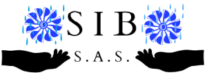Soluciones de Ingeniería y Bombas SAS SIB SAS